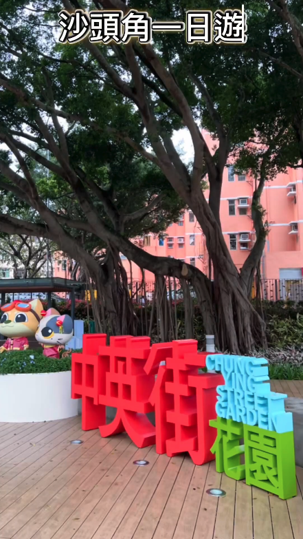 Video 2