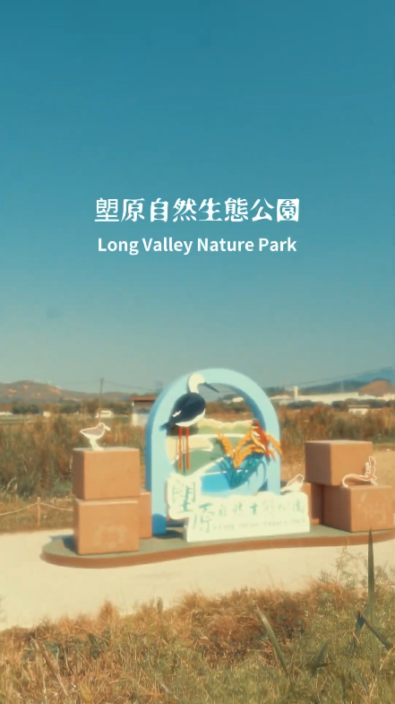 Video 2