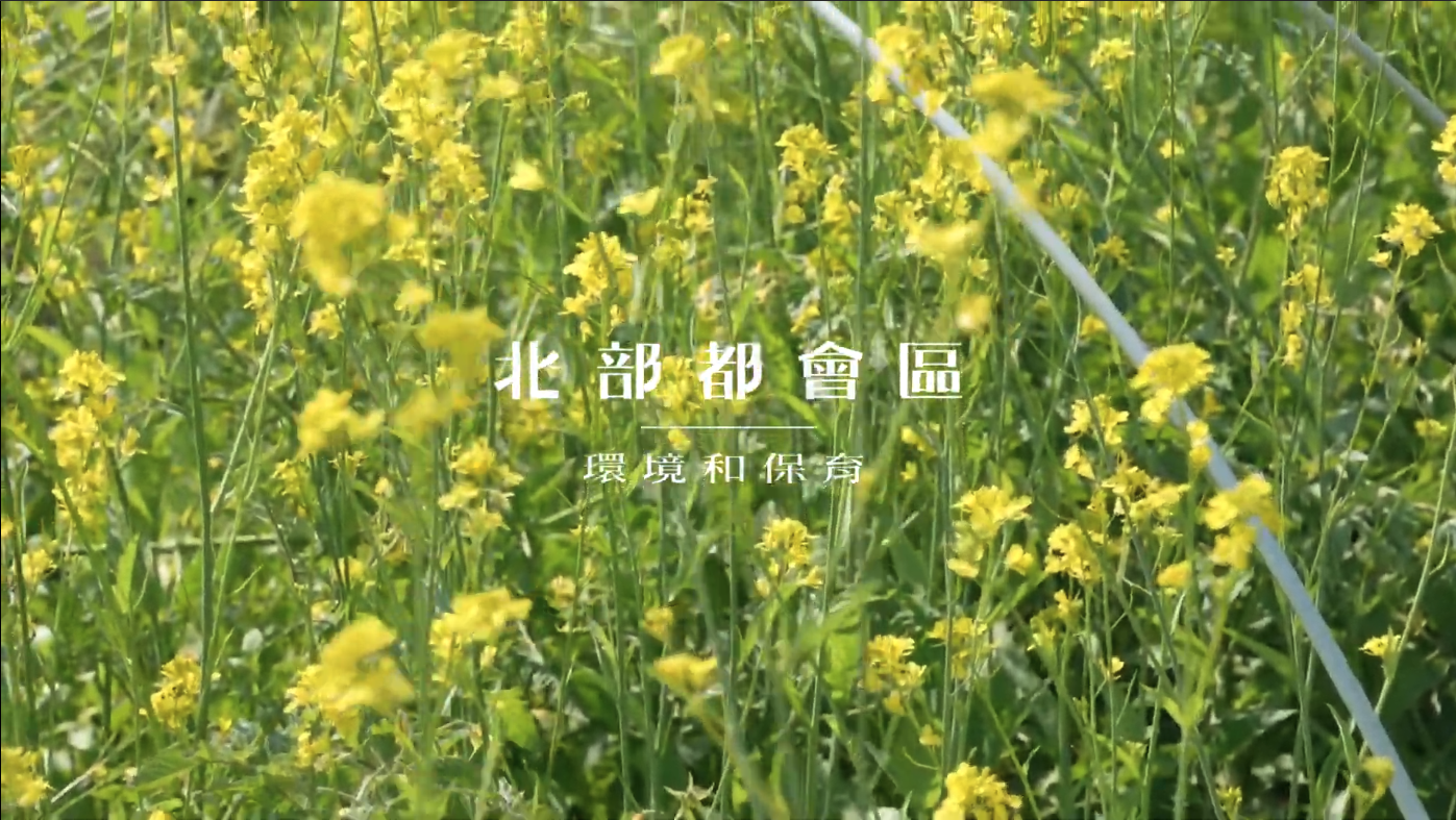 Video 2