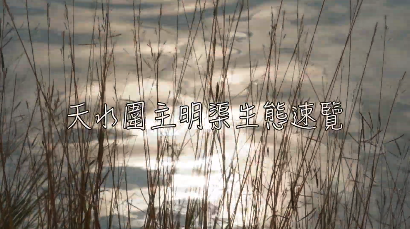 Video 2