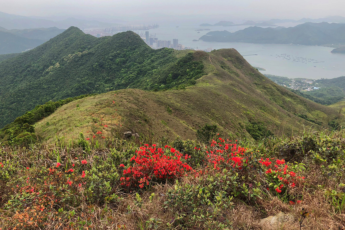 Northern Metropolis - Nature Conservation and Sustainability